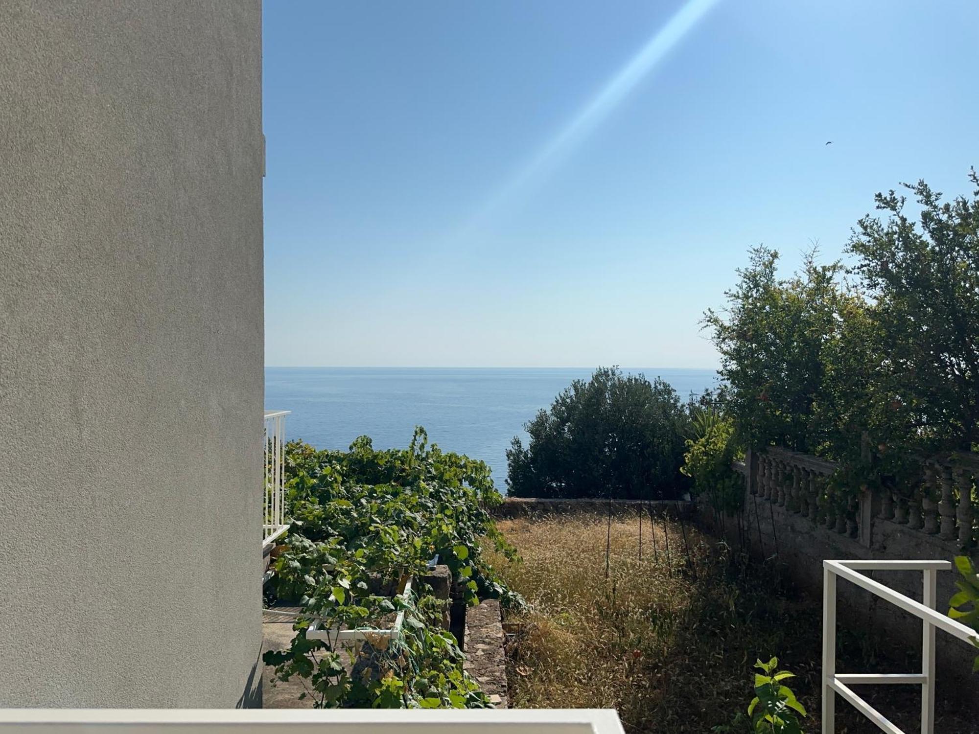 Apartments Blue Horizon Cavtat Eksteriør billede